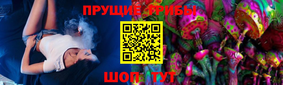 Славянск-на-Кубани  Псилоцибиновые грибы Cubensis  Вход с VPN  купить наркоту  Псилоцибиновые грибы Psilocybe 